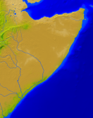 Somalia Vegetation 950x1200